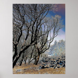 Macclesfield Forest Winterkarte Acryl Druck Poster