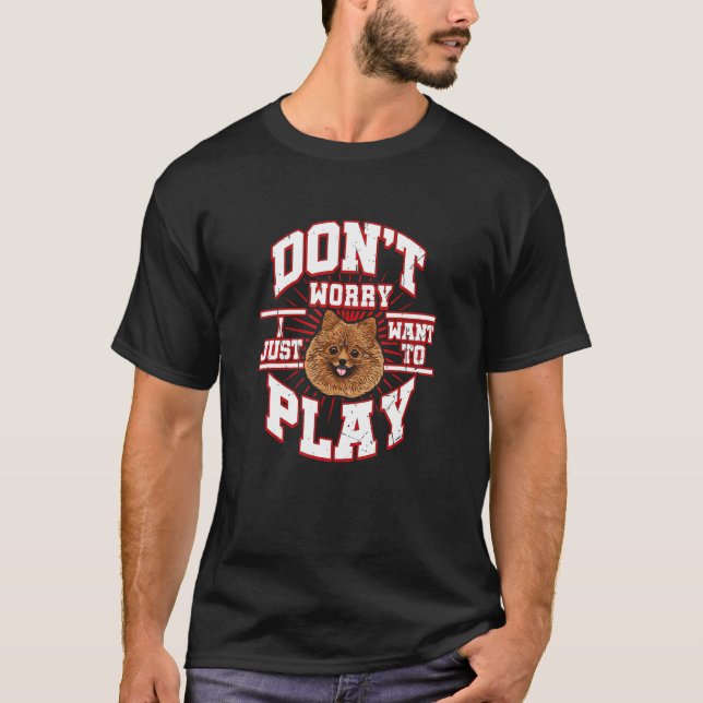 Mach dir keine Sorgen, dass ich nur Gewollt habe,  T-Shirt (Vorderseite)