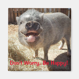 Mach dir keine Sorgen, sei glücklich, Pig Square M Magnet