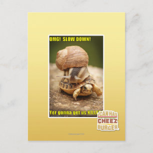 MACH! Langsam! Postkarte