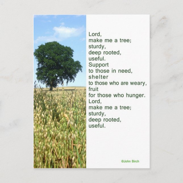 Mach mir einen Baum! Inspirationsgebet-Karte Postkarte (Vorderseite)