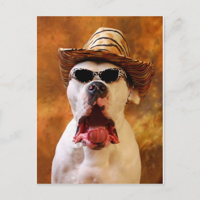 MACH! POSTKARTE (Vorderseite)