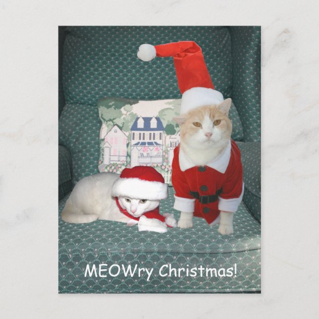 MACH Weihnachten! Feiertagspostkarte (Vorderseite)