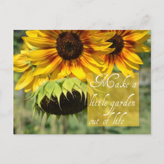Machen Sie eine Gartensonnenblumen Post Card Postkarte (Vorderseite)