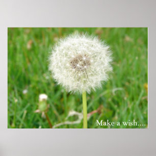 Machen Sie einen Wunsch Poster