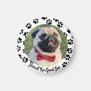 Machen Sie es zu einem Welpenhund Magnet