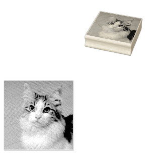 Machen Sie Ihr eigenes Foto Haustier Katze Tier Gummistempel