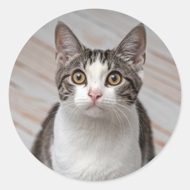 Machen Sie Ihr eigenes Foto Haustier Katze Tier Runder Aufkleber (Vorderseite)