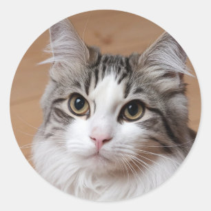 Machen Sie Ihr eigenes Foto Haustier Katze Tier Runder Aufkleber