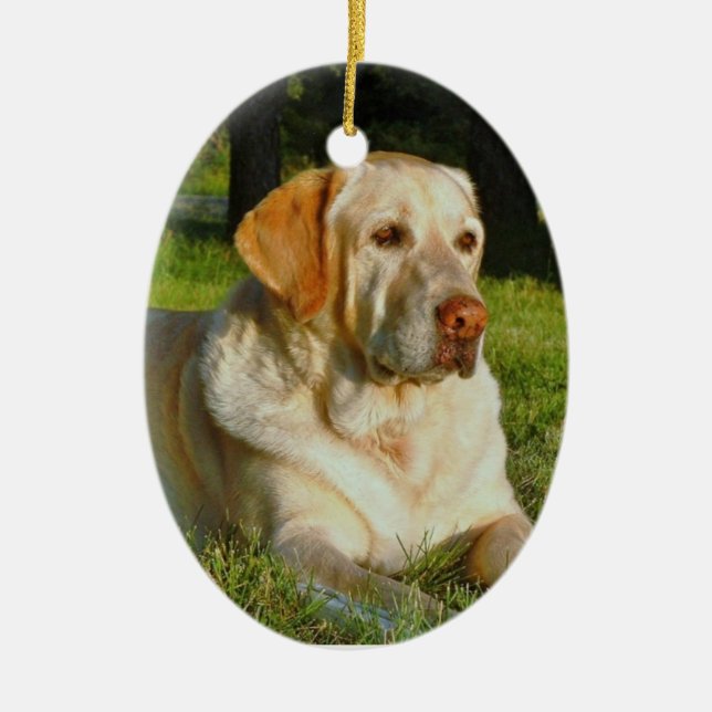 Machen Sie Ihre eigene Keramik Ornament (Vorne)