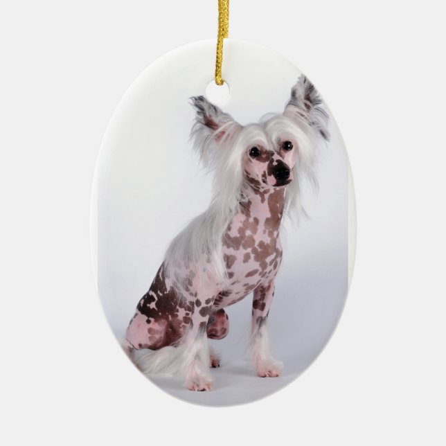 Machen Sie Ihre Selbst Keramik Ornament (Vorne)