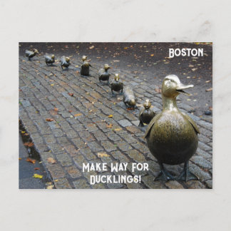 Machen Sie Platz für Ducklings! Postkarte