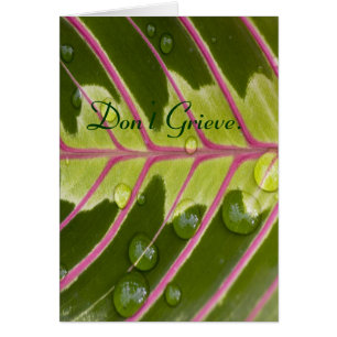 Machen Sie sich nicht Sorgen