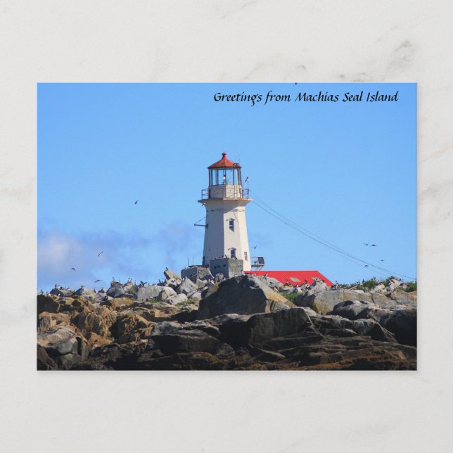 Machias Siegel Island Leuchtturm Postkarte (Vorderseite)