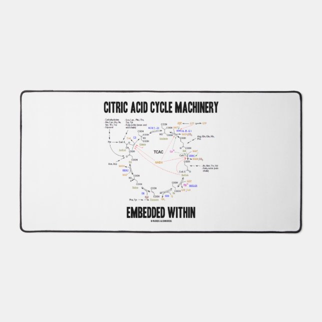 Machines À Cycle D'Acide Citrique Intégrées Dans D (Recto)
