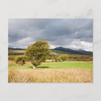 Machrie Moor