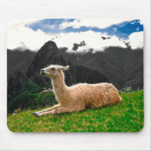 Machu Picchu Lama - Mousepad