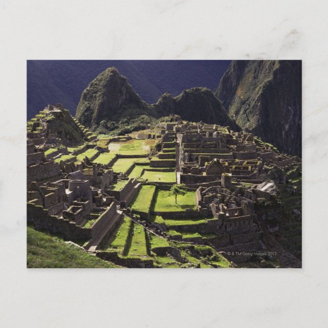 Machu Picchu, Peru Postkarte (Vorderseite)