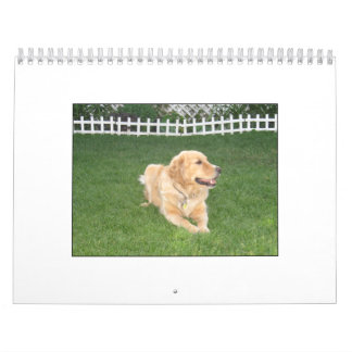 Mack Kalender 2008