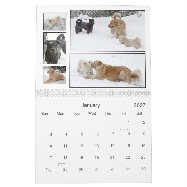 Mack u. Freund-Kalender 2010 Kalender (Jan 2027)