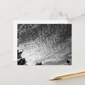 Mackerel Sky: Schwarz und Weiß Postkarte
