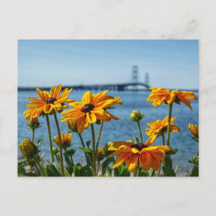 Mackinac-Brücke Schwarze Augen Postkarte