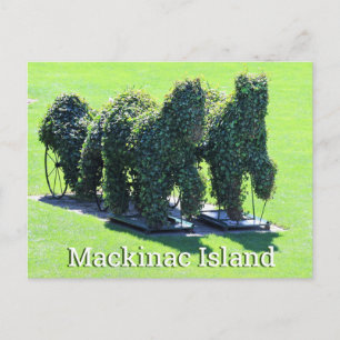 Mackinac Island Michigan Postkarte