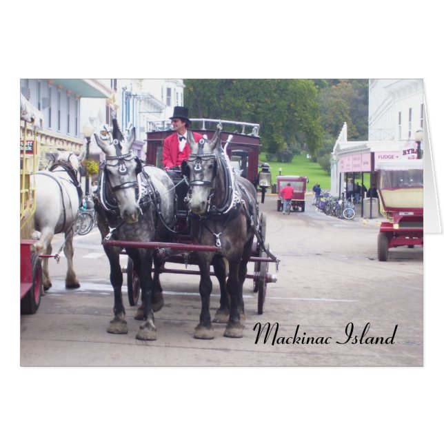Mackinaw Island Series (Vorderseite (Horizontal))