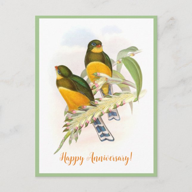 Macklot-Trogon (1850-1883) Postkarte (Vorderseite)