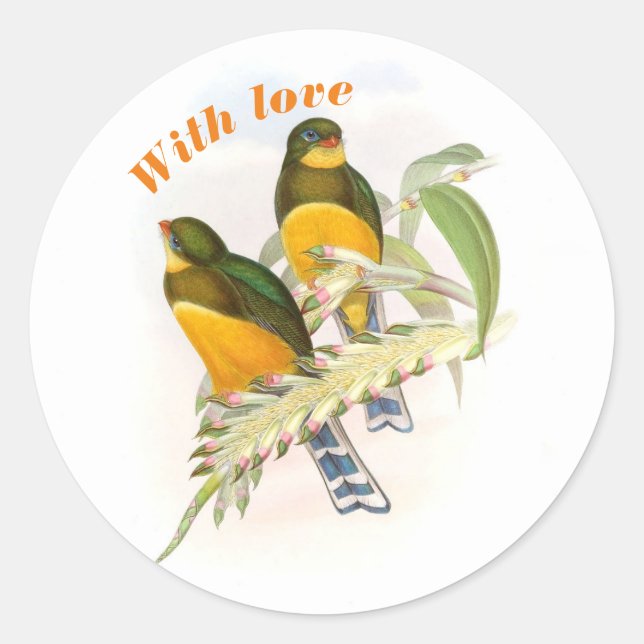 Macklot-Trogon, mit Liebe Runder Aufkleber (Vorderseite)