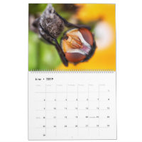 Macro calendrier de photographie de 2019 beautés