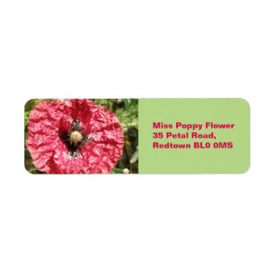 Macro Custom Labels für hübsche Red Poppy Blume