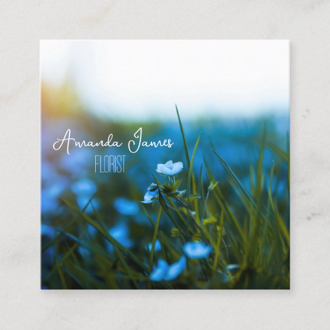 macro fleurs dans le champ, pour fleuriste, Carte  (Devant)