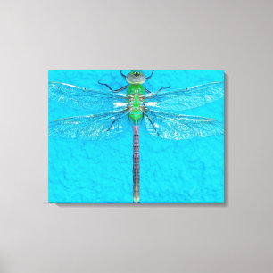 Macro Green Dragonfly auf blauem Hintergrund Leinwanddruck