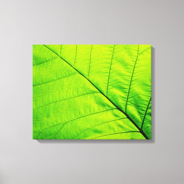 Macro Green Leaf Wrapped Canvas Leinwanddruck (Vorderseite)