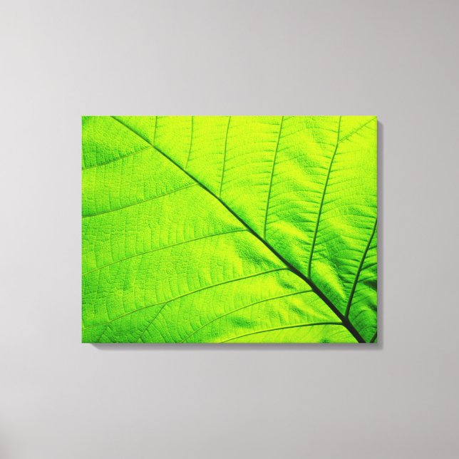 Macro Green Leaf Wrapped Canvas Leinwanddruck (Vorderseite)