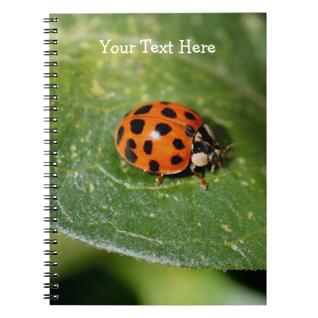 Macro Ladybug Nature Notebook Notizblock (Vorderseite)
