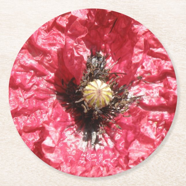Macro Paper Untersetzer der hübschen Red Poppy Blu (Vorderseite)