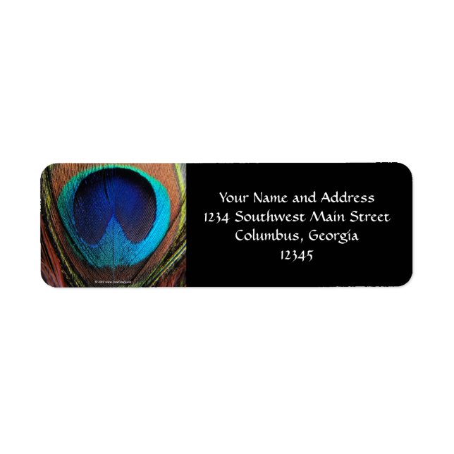 Macro Peacock Feather Rich Blues Fotografie (Vorne)