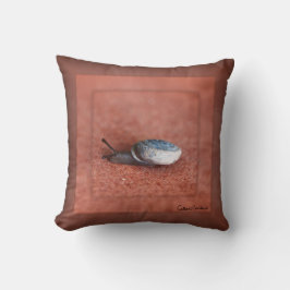 Macro Photograph of Snail on Terracotta Kissen