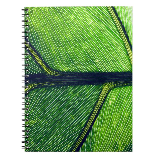 Macro photography of green leaf notizblock (Vorderseite)