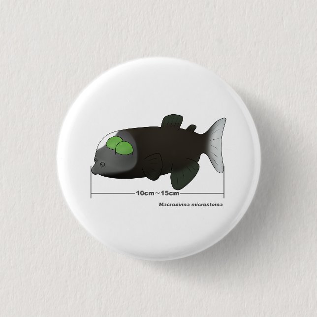 Macropinna microstoma tatsächliche Größe Button (Vorderseite)
