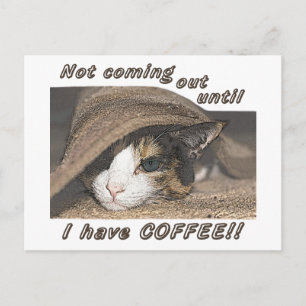 Macy Will Kaffee zu Postkarte