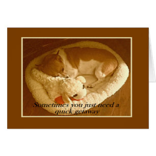 "Macy with Lamb Chop" 5 x 7 Karte mit Umschlag