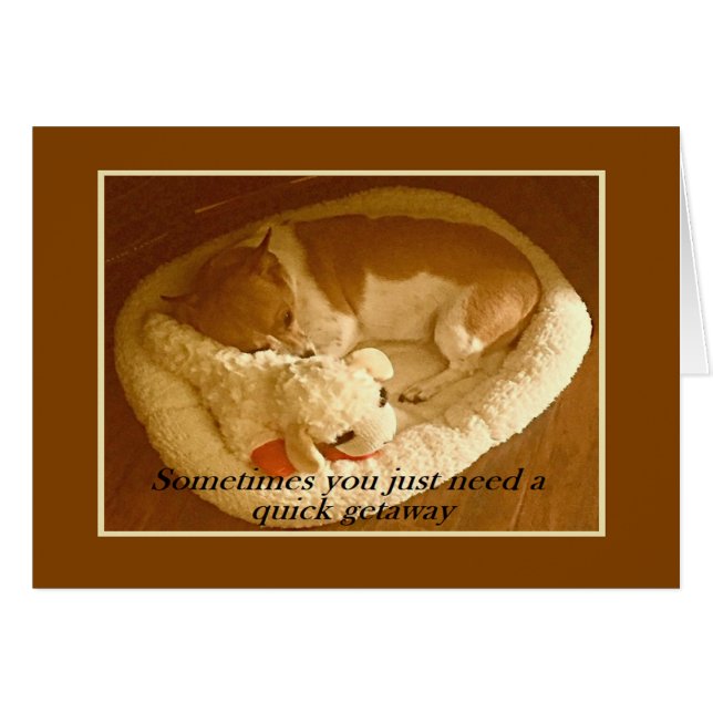 "Macy with Lamb Chop" 5 x 7 Karte mit Umschlag (Vorderseite (Horizontal))