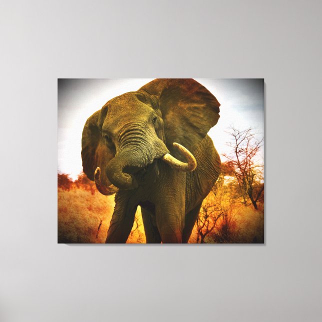 Mad African Elephant Wrapped Canvas Leinwanddruck (Vorderseite)