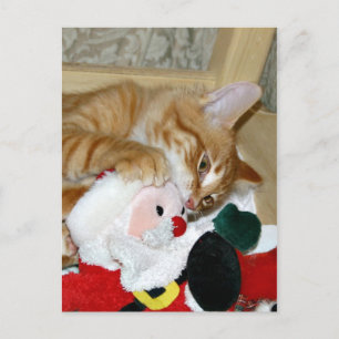 Mad at Santa Feiertagspostkarte