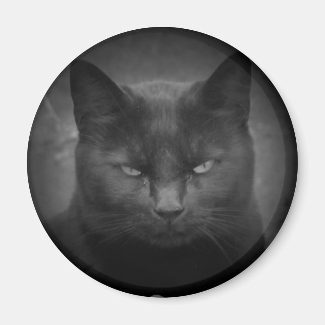 Mad Black Cat Spotlight Magnet (Vorne)