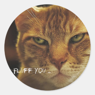 Mad Cat Fluff Runder Aufkleber