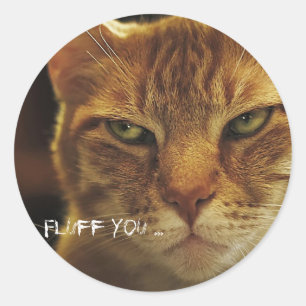 Mad Cat Fluor You Runder Aufkleber